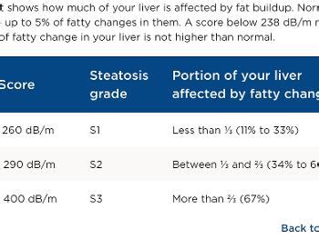 fibroscan results chart|Fibroscan to check for liver inflammation .